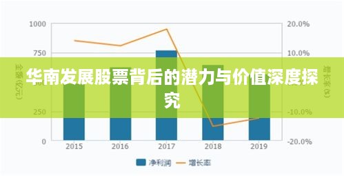 华南发展股票背后的潜力与价值深度探究