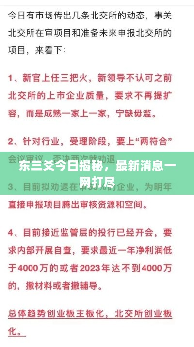 东三爻今日揭秘，最新消息一网打尽