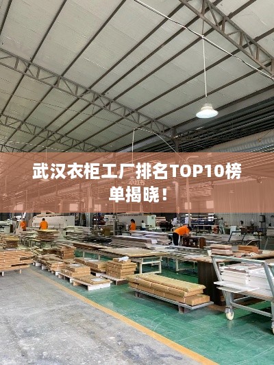 武汉衣柜工厂排名TOP10榜单揭晓！