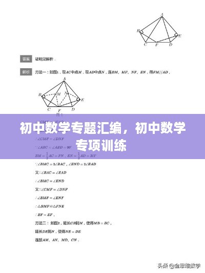 初中数学专题汇编，初中数学专项训练 