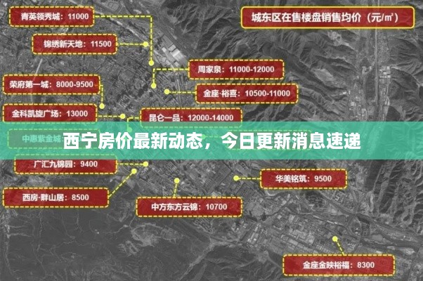 西宁房价最新动态，今日更新消息速递