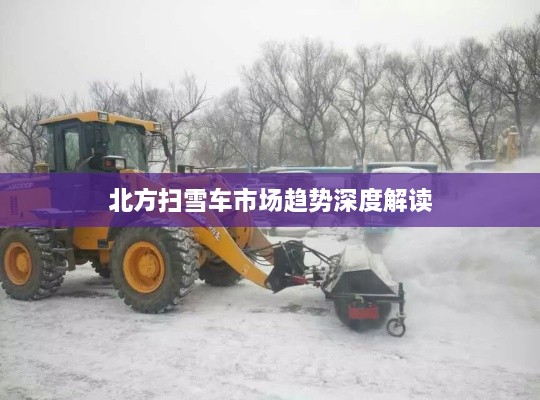 北方扫雪车市场趋势深度解读