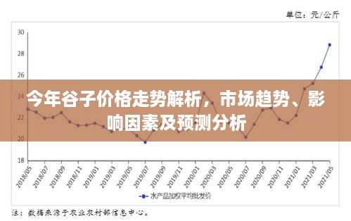 今年谷子价格走势解析，市场趋势、影响因素及预测分析