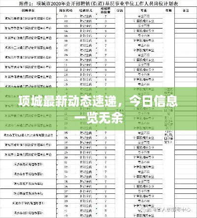 项城最新动态速递，今日信息一览无余