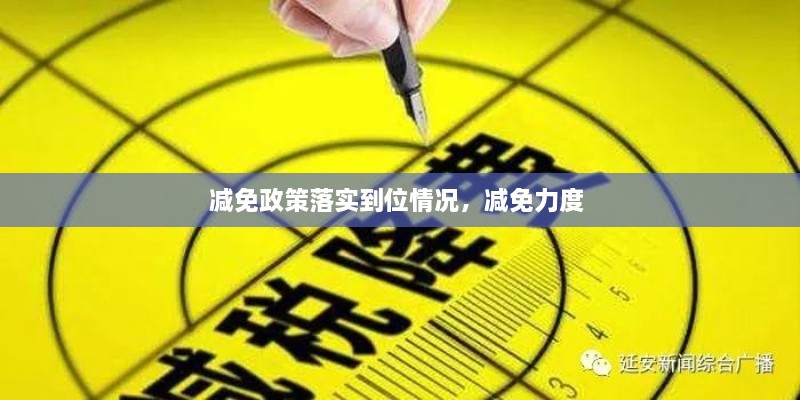 减免政策落实到位情况，减免力度 