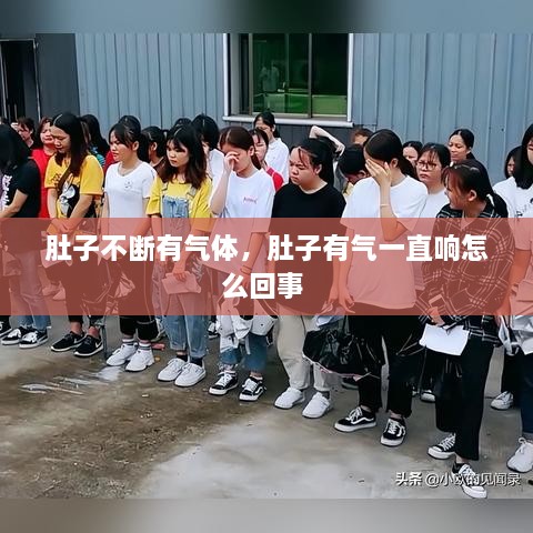 肚子不断有气体，肚子有气一直响怎么回事 