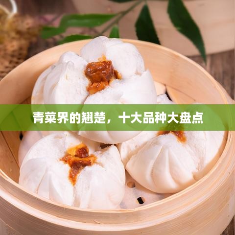 青菜界的翘楚，十大品种大盘点
