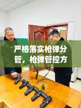 严格落实枪弹分管，枪弹管控方面的自查 