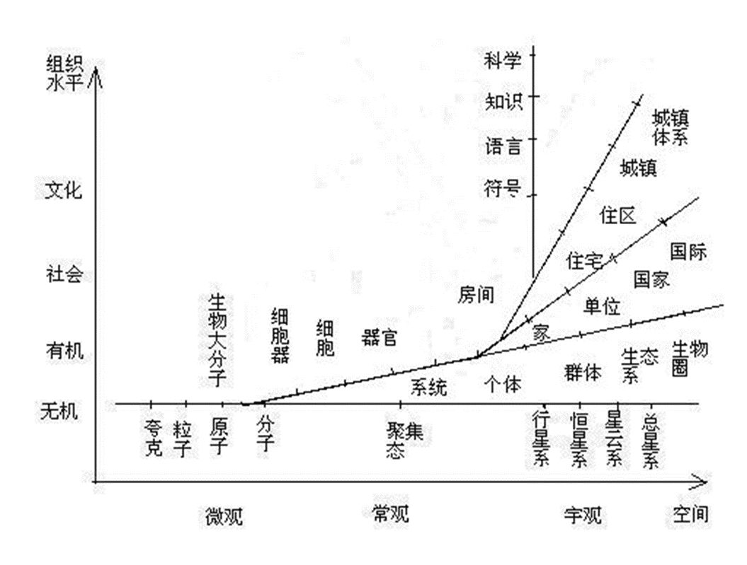 第4996页