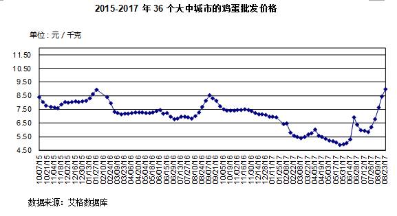 云南鸡价格最新行情解析，可靠研究定义投资版参考标准