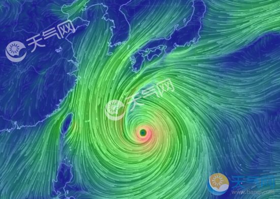 聚焦台风动态，解读与观点碰撞，最新台风消息解读与预测