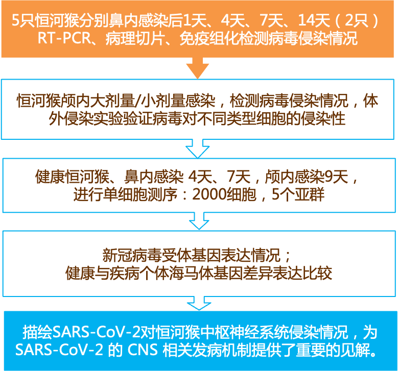 2024新奥精准资料免费大全078期,专业解读评估_潮流版2.54.593