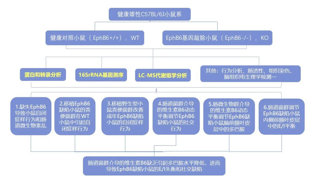 新澳精准资料免费大全,实用性解读策略_方案版2.54.760