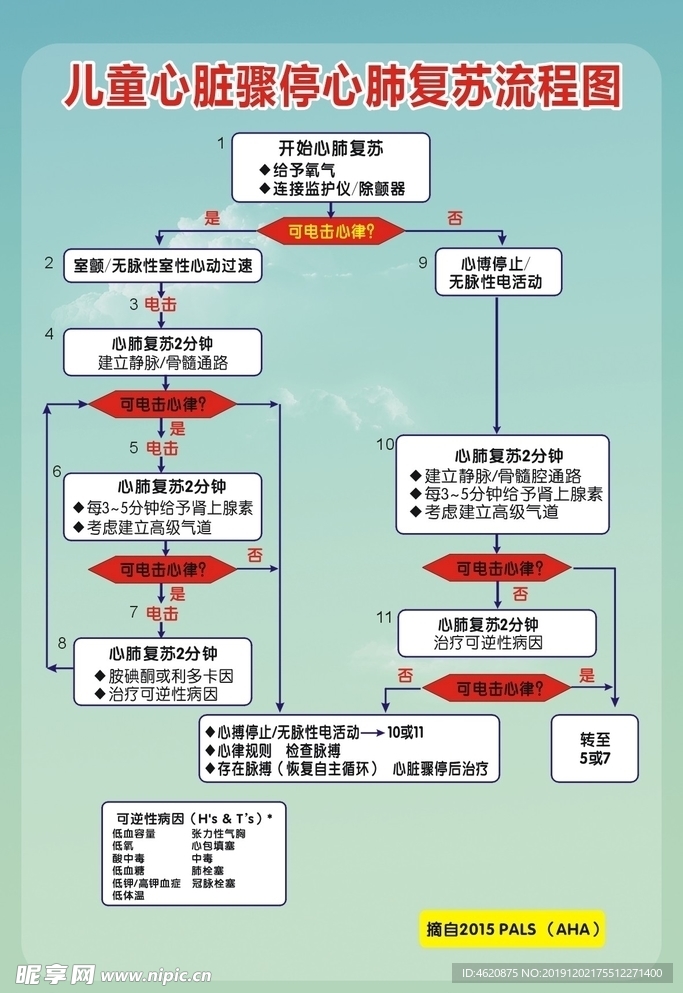 探秘小儿心肺复苏秘籍，最新标准解读与实操指南（11月更新）