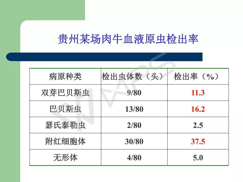 新澳2024年精准一肖一_比亚迪唐二代最新消息,多元化诊断解决_用户支持6.71.66