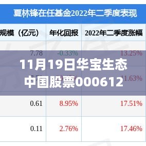 华宝生态中国股票背后的温情故事，友情与陪伴的净值之旅（最新净值发布）