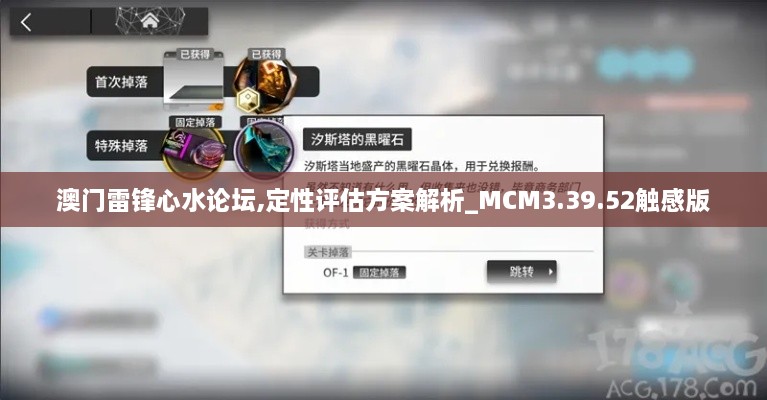 澳门雷锋心水论坛,定性评估方案解析_MCM3.39.52触感版