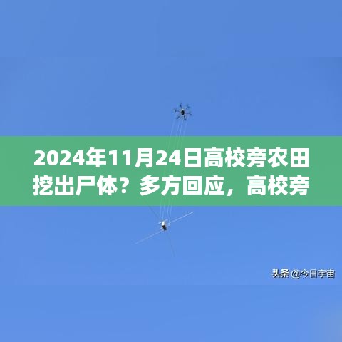 高校旁农田惊现尸体事件，真相揭秘与内心探险的双重探寻