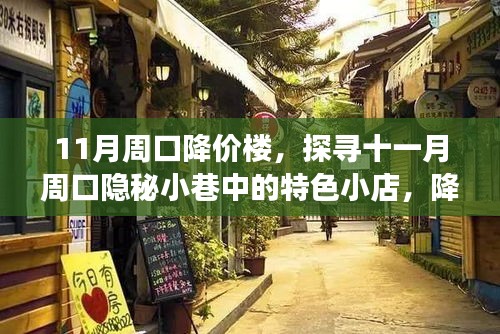 十一月周口降价楼探秘，小巷特色小店惊喜之旅