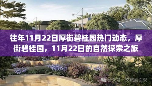 厚街碧桂园11月22日自然探索之旅，探寻内心宁静与平和的秘境