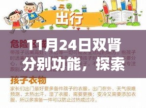 双肾功能探索之旅，自然怀抱中的内心宁静与平和探索