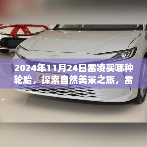 雷凌轮胎选择指南，启程自然美景之旅，2024年11月24日轮胎选购攻略