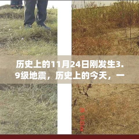 历史上的今天，地震唤醒内心力量与学习魅力，一场启示性的考验