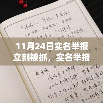 实名举报流程详解与安全保障措施，从初学者到进阶用户的实用指南（11月24日实时更新）