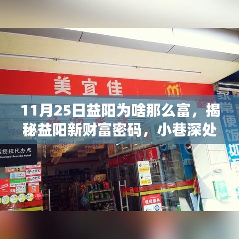 揭秘益阳新财富密码，特色小店繁荣背后的故事，为何益阳在11月25日格外繁华？