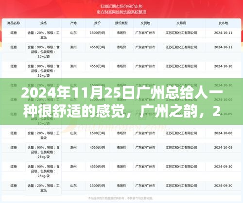 广州之韵，2024年11月25日的舒适时光