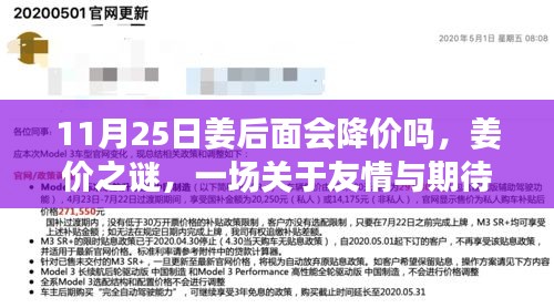 姜价之谜，友情与期待交织的温馨探秘，姜价未来走势引人关注