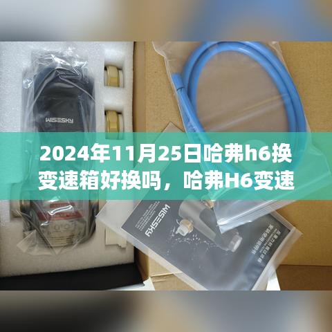 新闻动态 第129页