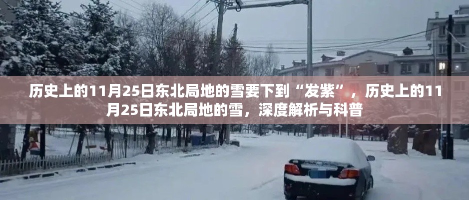 历史上的11月25日东北大雪深度解析与科普，雪量之大，下到发紫境地！