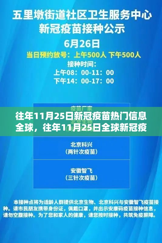 全球新冠疫苗热门信息解析，历年11月25日回顾与解析