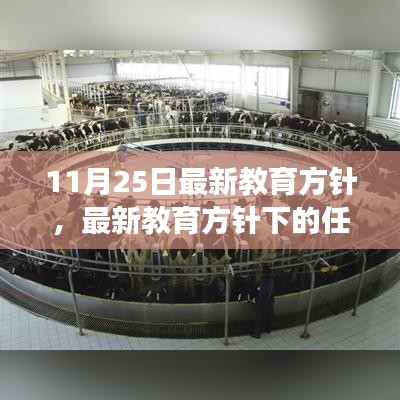 最新教育方针下的任务指南，如何适应学习变革，初学者与进阶用户必修课程