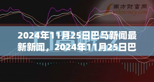 2024年11月25日巴马最新新闻报道概览