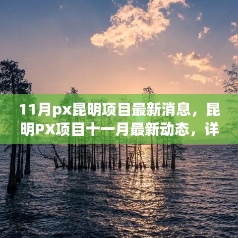 昆明PX项目最新动态详解，11月进展、步骤指南及关键信息掌握