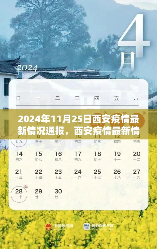 2024年11月25日西安疫情最新通报与要点分析