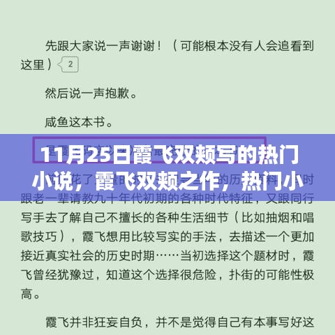 霞飞双颊之作，热门小说的诞生与深远影响