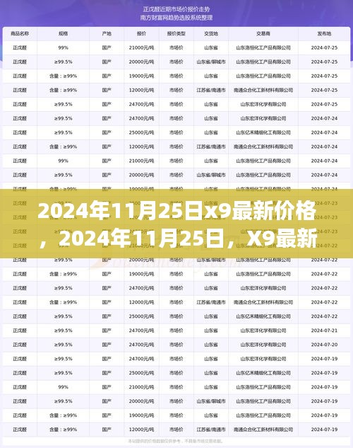 2024年11月25日X9最新市场价格揭秘，市场风云的见证者