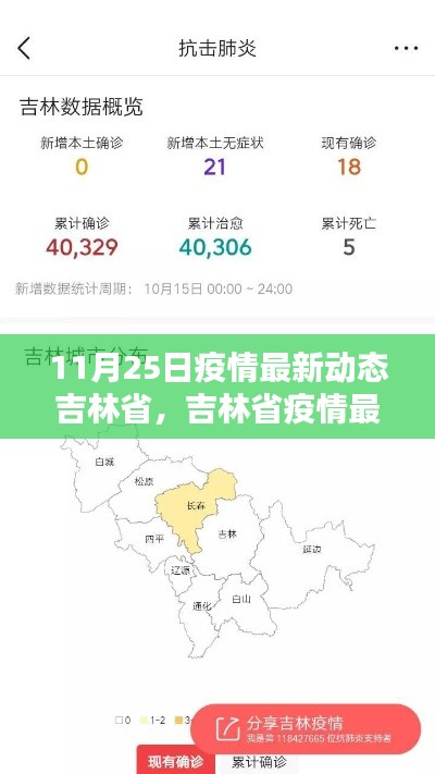 吉林省疫情动态综述与评估，最新动态及全面解析（11月25日）