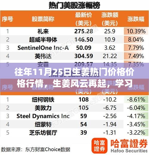 11月25日生姜市场行情概览，风云再起，掌握价格行情的自信与成就感