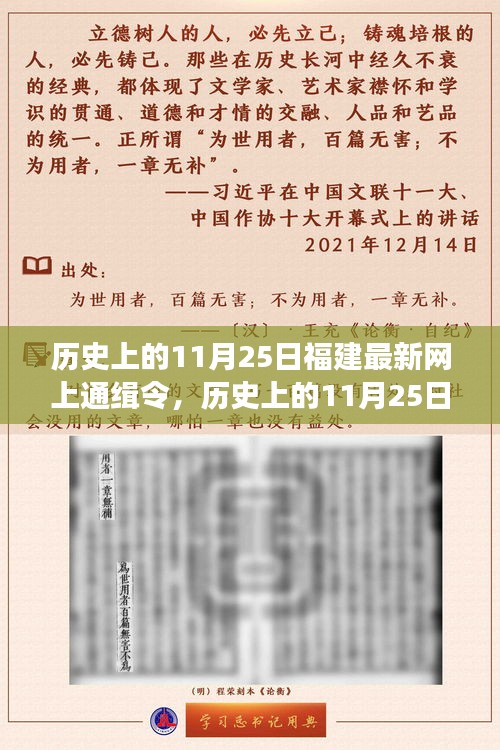 历史上的11月25日福建最新网上通缉令深度解读与评测报告