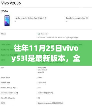 如何确认并更新Vivoy53l至最新版本全面指南（针对初学者与进阶用户）