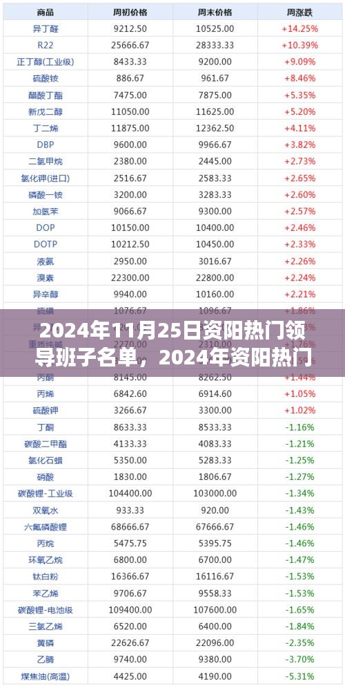 2024年11月25日资阳热门领导班子名单，2024年资阳热门领导班子名单及其影响，深度分析与观点阐述