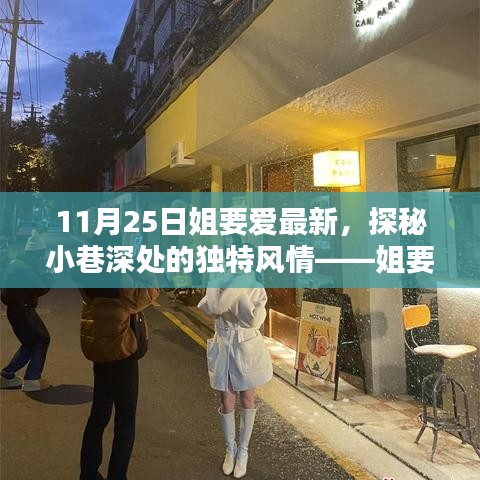 探秘小巷深处的独特风情，姐要爱最新特色小店全攻略（11月25日更新）