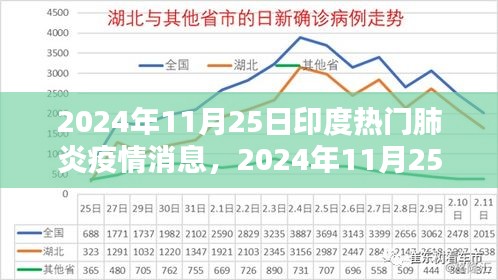 印度肺炎疫情最新动态与消息更新（2024年11月25日）