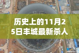 历史上的11月25日丰城最新杀人事件，深度解析与回顾