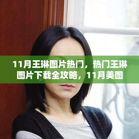 11月王琳图片热门，美图下载全攻略与收藏步骤详解