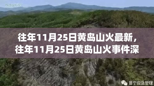 往年11月25日黄岛山火事件回顾，深度解析、反思与观点阐述